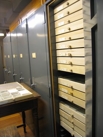 Cabinet with insects