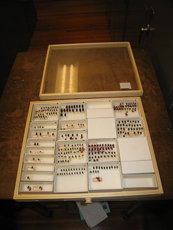 Drawer with insects