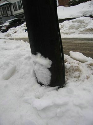 Telephone pole with melted snow